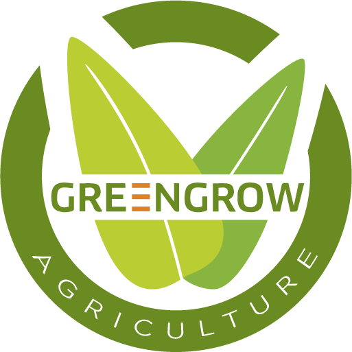 Corrugated box manufacturing company in India