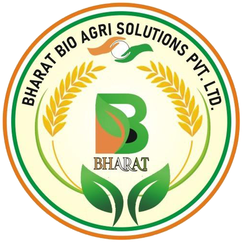 Corrugated box manufacturing company in India